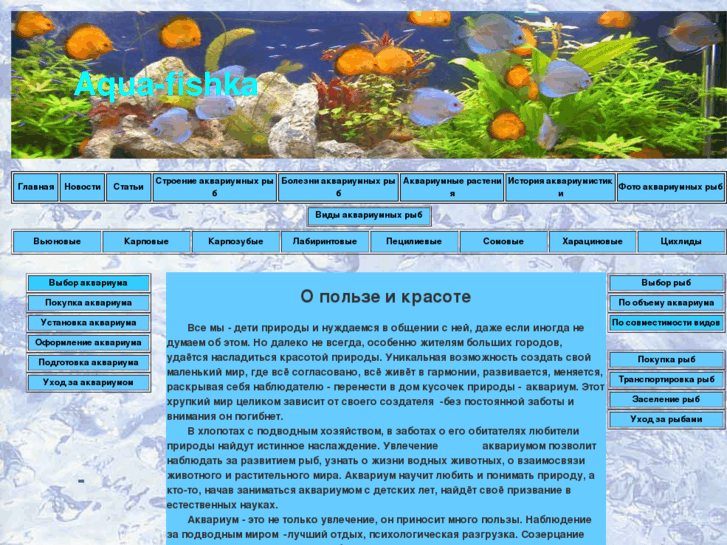 Исследование аквариумных рыбок какая наука. Болезни аквариумных рыб таблица. Классификация болезней аквариумных рыб. Масса аквариумных рыбок. Диагностическая таблица аквариумных рыбок.