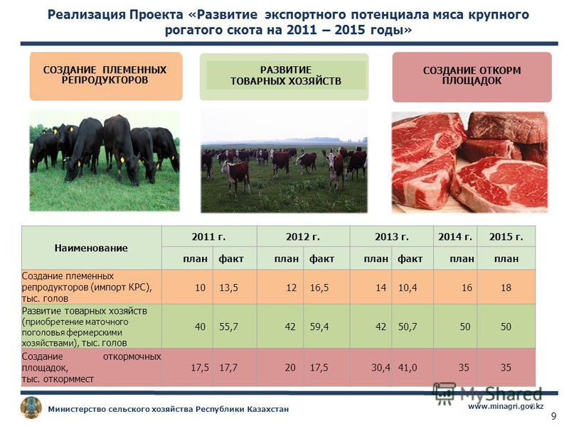 Бизнес план животноводство в казахстане