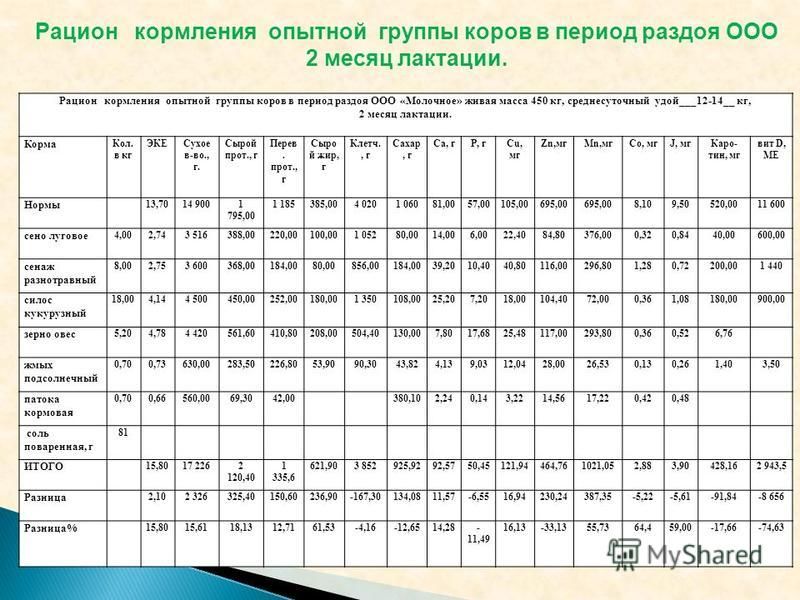 Содержание кормления. Нормы кормления дойных коров таблица. Рацион кормления дойной коровы. Нормы кормления и рацион дойных коров. Рацион для дойных коров 600 кг.