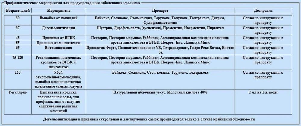 Прививки кроликам какие и когда делать схема для начинающих