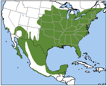 Northern Cardinal Map, NatureServe