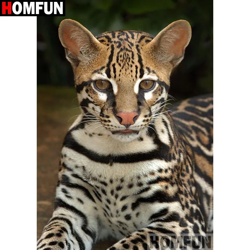 Азиатский леопардовый кот картинки