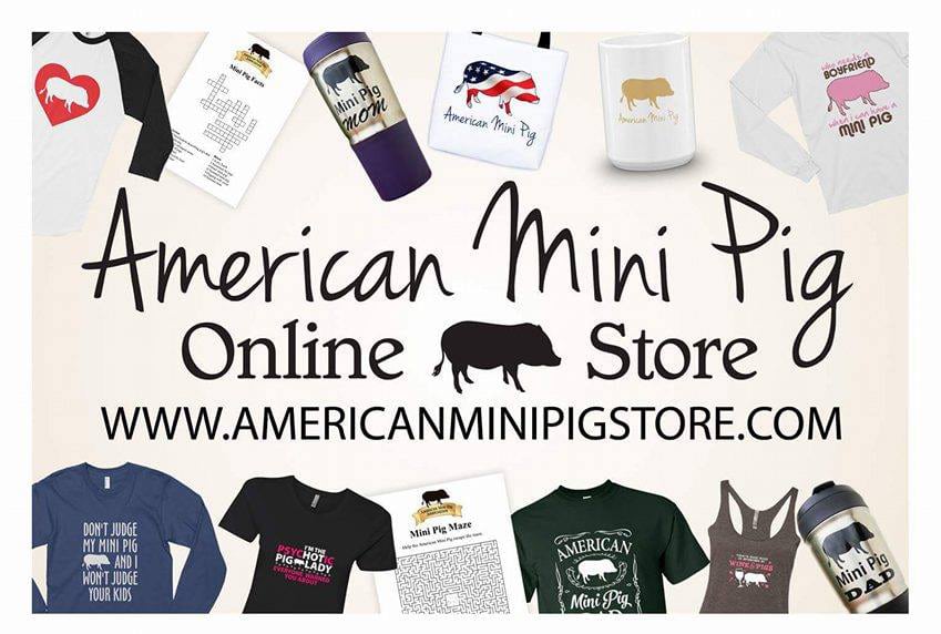 mini pig store ad
