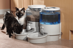 TD Design Automatic Cat Feeder