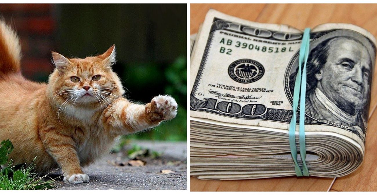 Кот денежный талисман