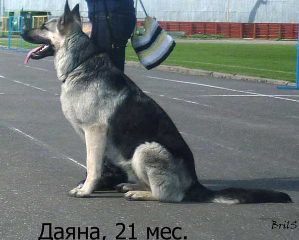 МОЯ УЧЕНИЦА ДАЯНА (ДЗЕРЖИНСК, 2012)