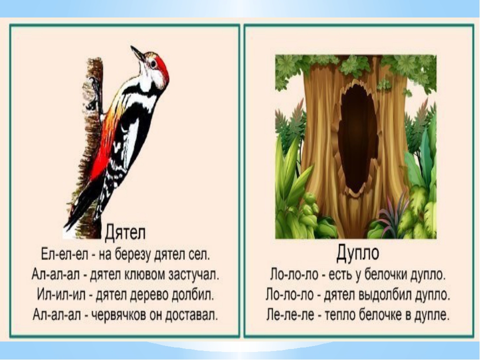 Дятел разбор. Звук д дятел. Чистоговорка про дятла. Скороговорка про дятла. Задание с дятлом.