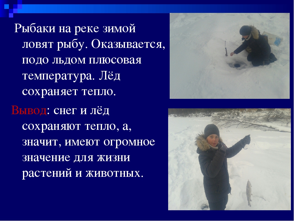 Поймать предложение. Жизнь зимой подо льдом. Почему зимой подо льдом вода не ?. Презентация рыба зимой подо льдом. Правописание подо льдом.