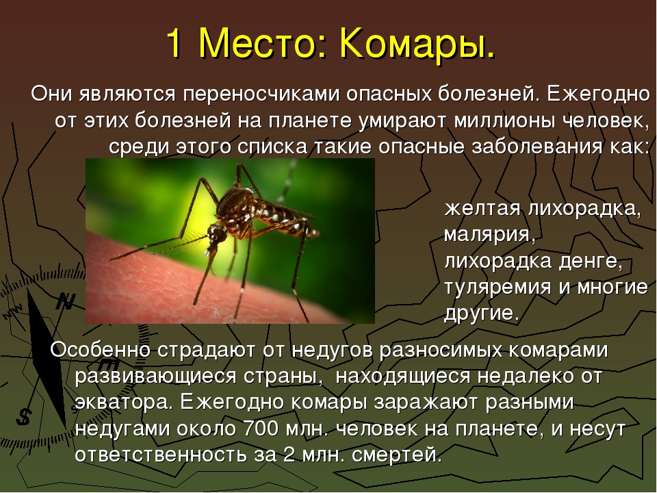 Комары переносчики заболеваний. Насекомые переносчики заболеваний человека. Комары переносчики инфекций. Переносчики опасных заболеваний. Комары являются переносчиками.