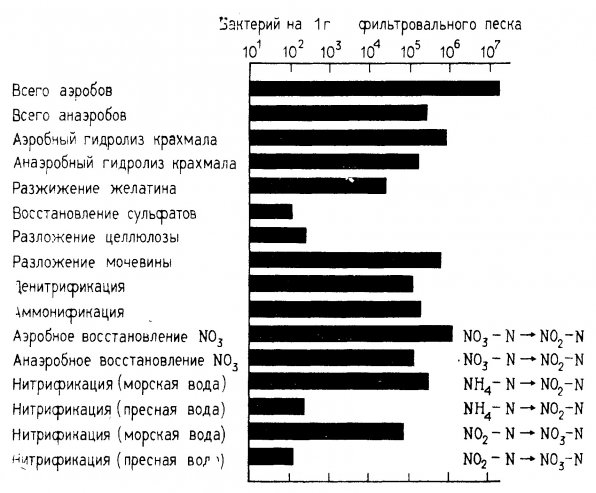 Численность бактерий фильтрационного слоя в малых пресноводных и морских аквариумных системах через 134 дня