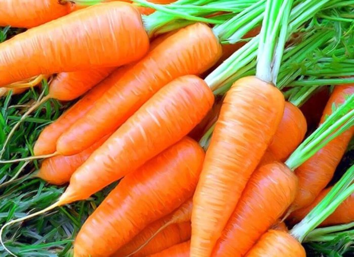 Морковь можно давать с 15-17 дня