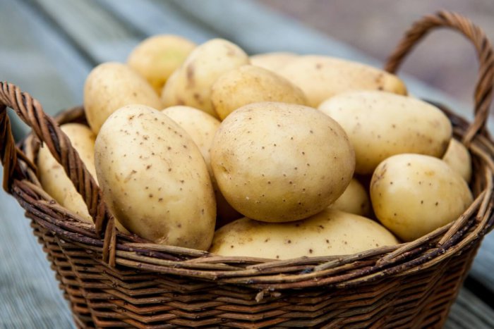 Хорошим источником витаминов выступает картофель