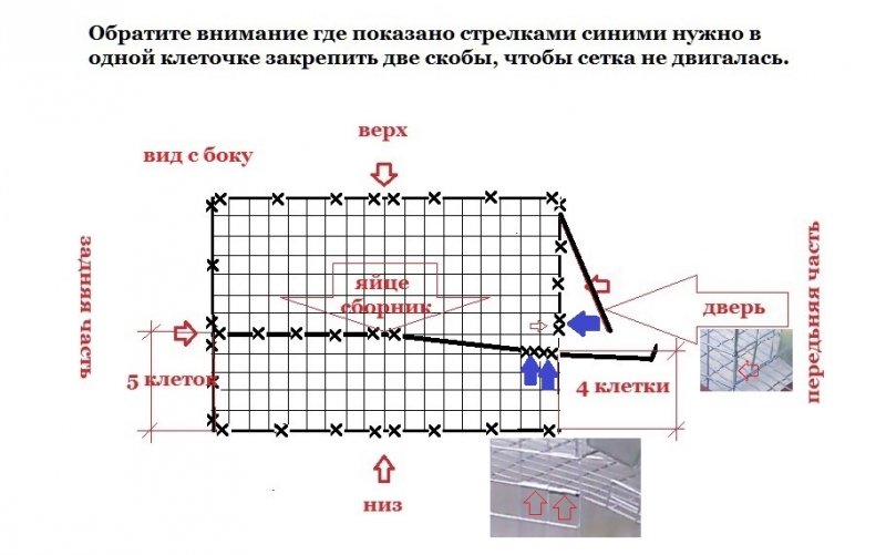 Размеры клеток для перепелов чертеж на 30 голов