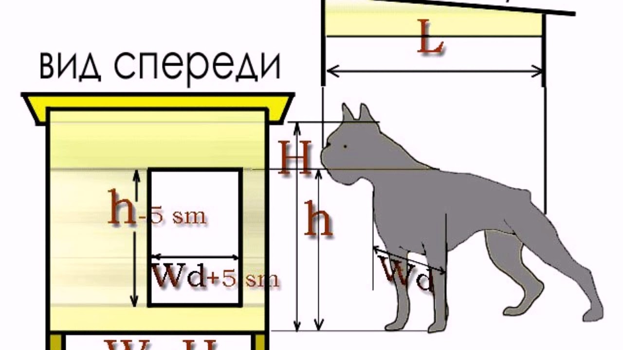 Сделать конуру для собаки своими руками схема