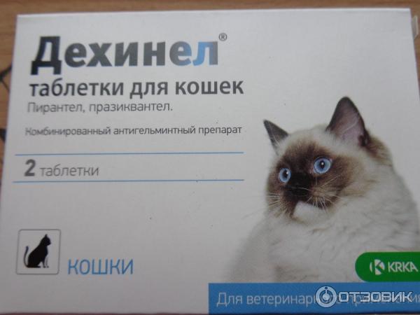 Можно ли кошке обезболивающее. Дехинел табл. Для кошек 230мг/20мг №2 (144 шт/кор). Таблетки для кошек обезболивающие противовоспалительные. Дехинел таблетки для кошек. Таблетка обезболивающая для кошек.