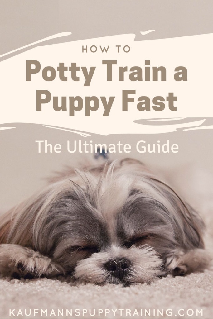 To potty train your puppy can be a challenge...Here’s our ultimate guide from which you can pick and choose to set you and your puppy up for potty training success fast. Read more at kaufmannspuppytraining.com @KaufmannsPuppy #dogtraining #puppytraining #pottytraining