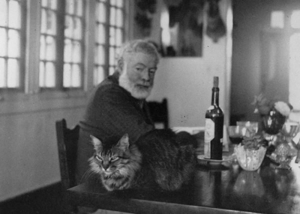 Эрнест Хемингуэей с котом