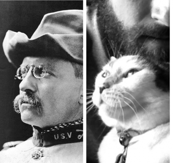 Теодор Рузвельт с котом