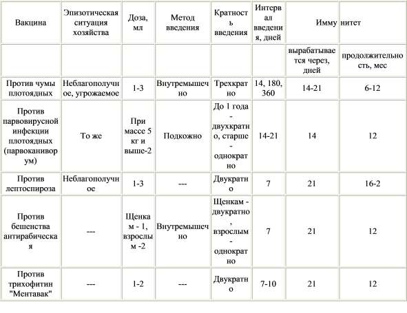 Дегельминтизация лошадей схема