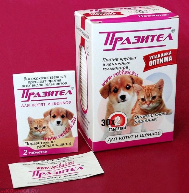 Лекарство от глистов для кошки Празител