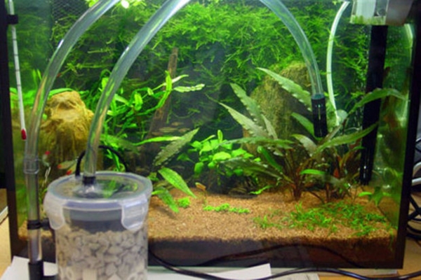 Как установить фильтр в аквариум