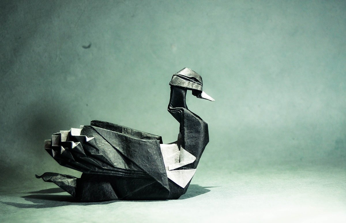 Common Loon Folded by Gonzalo