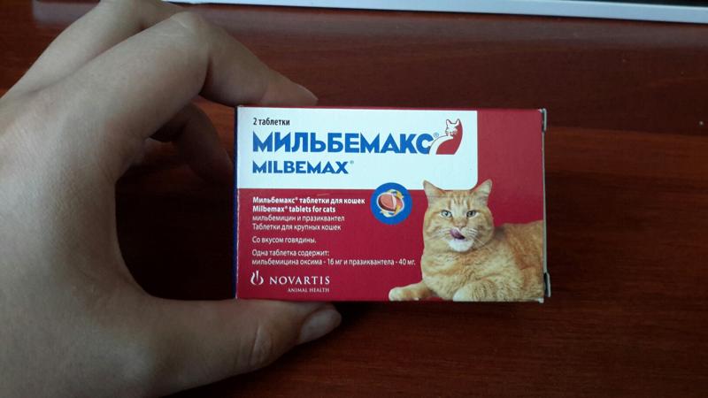 Обезболивающие таблетки для кошек: Противовоспалительные и