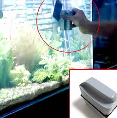 как почистить стекло в аквариуме от налета внутри без воды