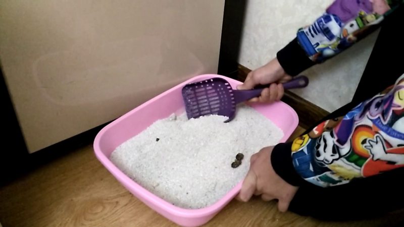 Уборка кошачьего туалета