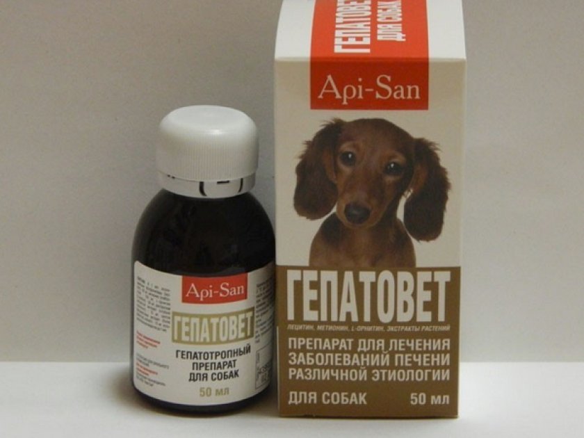 Препараты для печени для собак. Гепатовет 50 мл. Лекарство для собак. Лекарство от печени для собак. Препарат для воспалении собак.