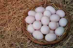 Сколько яиц приносят индоутки