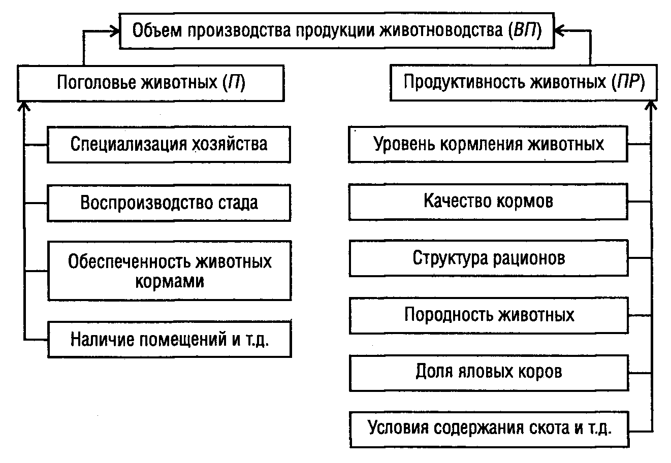 Управление производством продукции животноводства