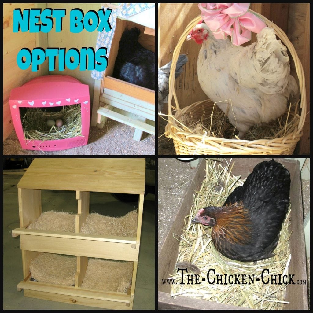 Be creative with nest boxes, the options are limitless: clean, empty kitty litter containers, 5 gallon buckets, baskets and upcycled televisions and computer monitors all work for laying hens!