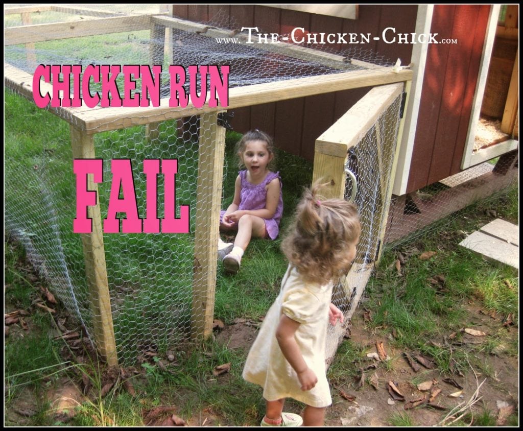 Make the door into the chicken run tall enough for people to enter without causing head injuries.