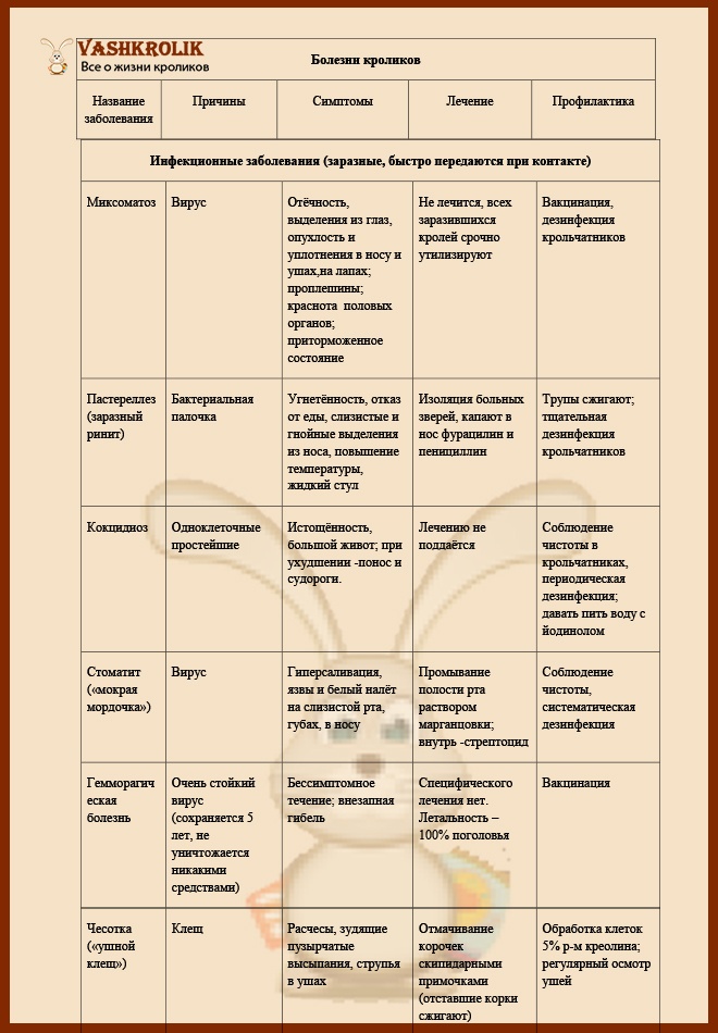 Прививки кроликам какие и когда делать схема для начинающих