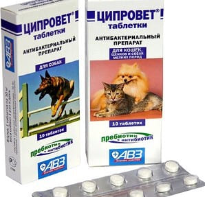 Антибиотики Ципровет от гнойного демодекоза у собак