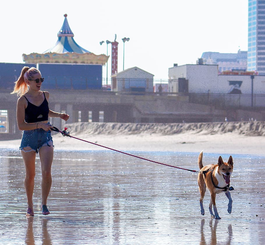 Женщина гуляет с собакой фото