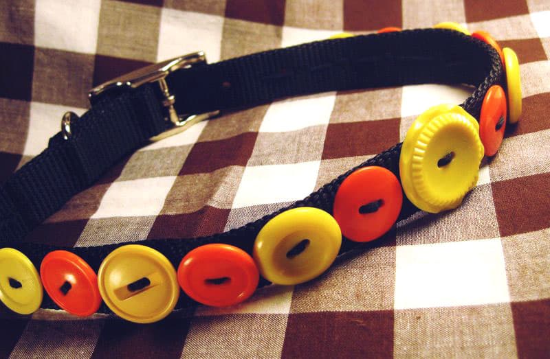 Button collar