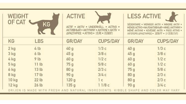 how much to feed a cat chart