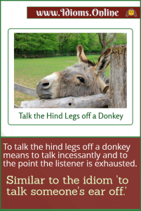 talk the hind legs off a donkey idiom meaning
