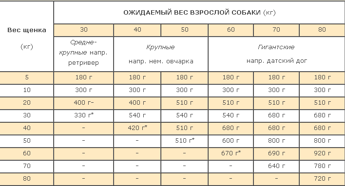 Чихуахуа. девочка микро. - обсуждение на форуме e1.ru